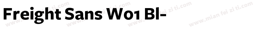 Freight Sans W01 Bl字体转换